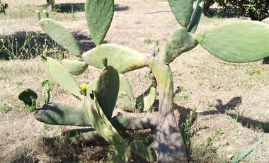 Parcela en Venta en La Reserva