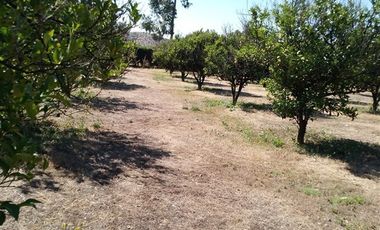 Parcela en Venta en La Reserva