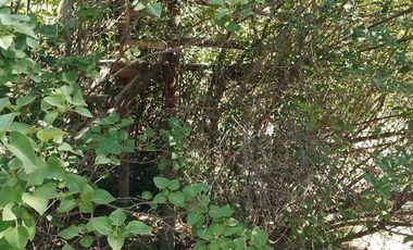 Parcela en Venta en La Reserva