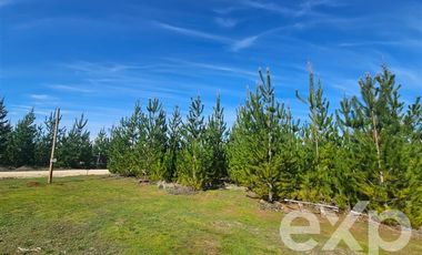 Parcela en Venta en Provincia Cardenal Caro