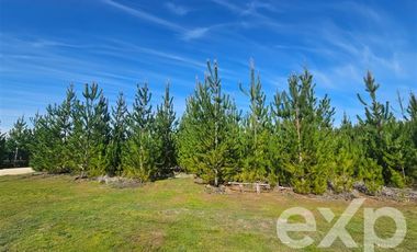 Parcela en Venta en Provincia Cardenal Caro