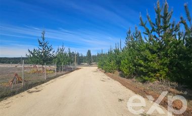 Parcela en Venta en Provincia Cardenal Caro