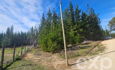 Parcela en Venta en Provincia Cardenal Caro