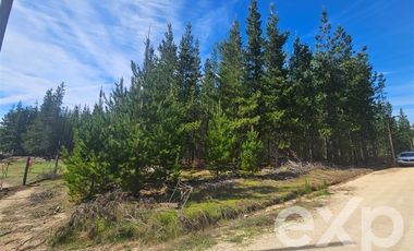 Parcela en Venta en Provincia Cardenal Caro