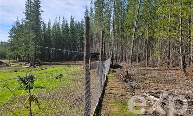 Parcela en Venta en Provincia Cardenal Caro