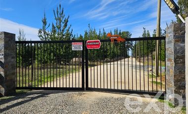 Parcela en Venta en Provincia Cardenal Caro