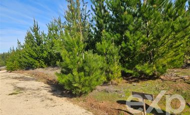 Parcela en Venta en Provincia Cardenal Caro