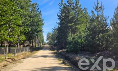 Parcela en Venta en Provincia Cardenal Caro