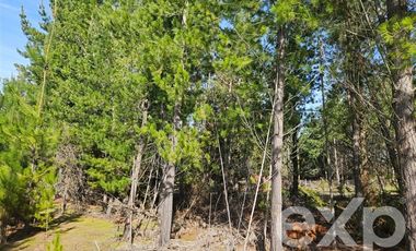 Parcela en Venta en Provincia Cardenal Caro