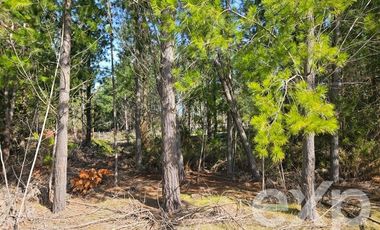 Parcela en Venta en Provincia Cardenal Caro