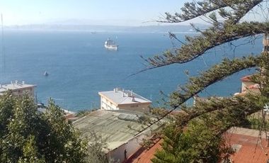 Local Comercial en Venta en Federico Errazuriz