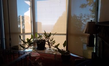 Local Comercial en Venta en Federico Errazuriz