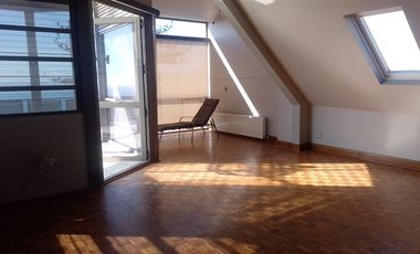 Local Comercial en Venta en Federico Errazuriz