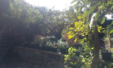 Local Comercial en Venta en Federico Errazuriz