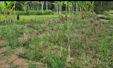 Butuh Cepat Laku Tanah Kavling Hasanudin Batu Belakang RS Baptis