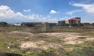 Terreno comercial en renta en Montecillo, Texcoco, México