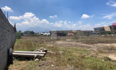 Terreno comercial en renta en Montecillo, Texcoco, México