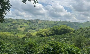 Venta de finca cafetera y aguacatera en el corregimiento de Arabia