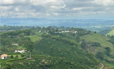 Venta de finca cafetera y aguacatera en el corregimiento de Arabia
