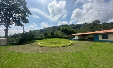 Venta de finca cafetera y aguacatera en el corregimiento de Arabia