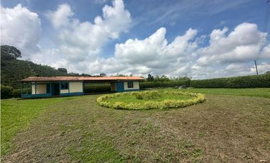 Venta de finca cafetera y aguacatera en el corregimiento de Arabia