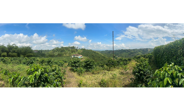 Venta de finca cafetera y aguacatera en el corregimiento de Arabia
