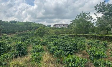 Venta de finca cafetera y aguacatera en el corregimiento de Arabia