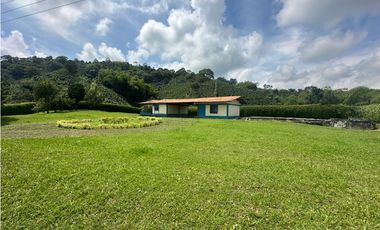 Venta de finca cafetera y aguacatera en el corregimiento de Arabia