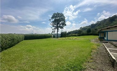 Venta de finca cafetera y aguacatera en el corregimiento de Arabia
