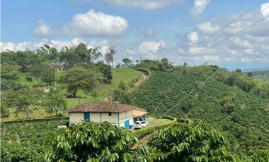 Venta de finca cafetera y aguacatera en el corregimiento de Arabia