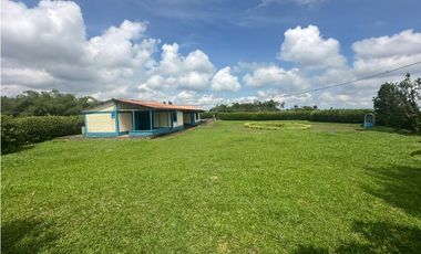 Venta de finca cafetera y aguacatera en el corregimiento de Arabia