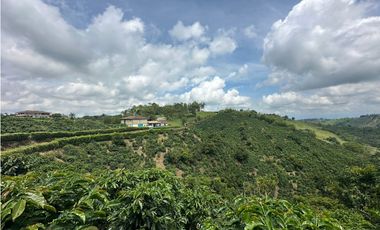 Venta de finca cafetera y aguacatera en el corregimiento de Arabia