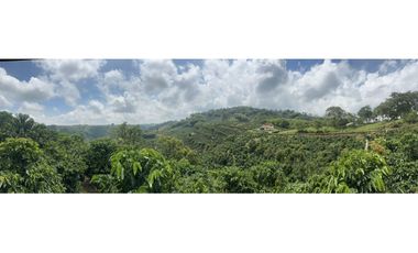 Venta de finca cafetera y aguacatera en el corregimiento de Arabia