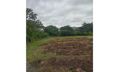 VENTA TERRENO CAÑAVERAL PENONOMÉ COCLE GRAN OPORTUNIDAD