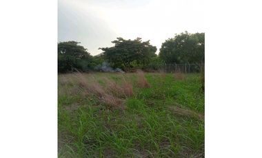 VENTA TERRENO CAÑAVERAL PENONOMÉ COCLE GRAN OPORTUNIDAD