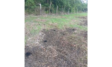 VENTA TERRENO CAÑAVERAL PENONOMÉ COCLE GRAN OPORTUNIDAD