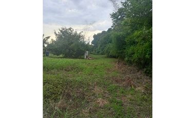 VENTA TERRENO CAÑAVERAL PENONOMÉ COCLE GRAN OPORTUNIDAD