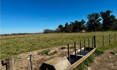 Campo en venta de 122 Has. mixto en Ranchos