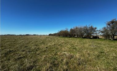 Campo en venta de 122 Has. mixto en Ranchos