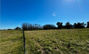 Campo en venta de 122 Has. mixto en Ranchos