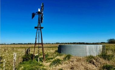 Campo en venta de 122 Has. mixto en Ranchos