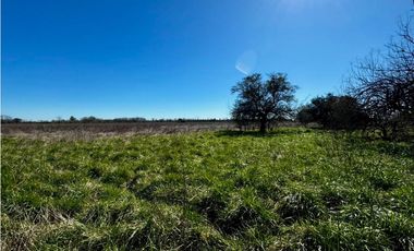 Campo en venta de 122 Has. mixto en Ranchos