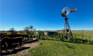 Campo en venta de 122 Has. mixto en Ranchos