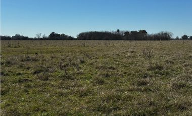 Campo en venta de 122 Has. mixto en Ranchos