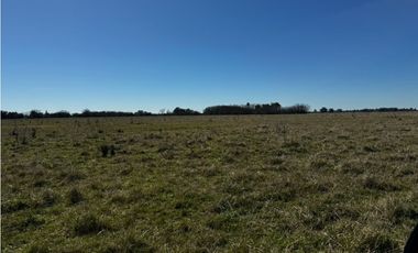Campo en venta de 122 Has. mixto en Ranchos