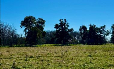 Campo en venta de 122 Has. mixto en Ranchos