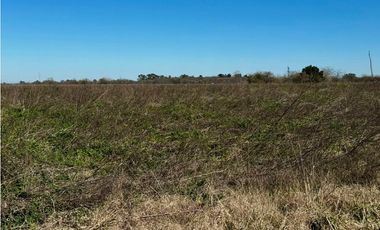 Campo en venta de 122 Has. mixto en Ranchos