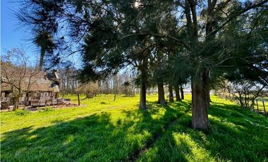 Campo en venta de 122 Has. mixto en Ranchos