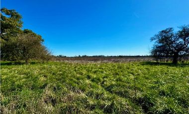 Campo en venta de 122 Has. mixto en Ranchos