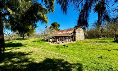 Campo en venta de 122 Has. mixto en Ranchos